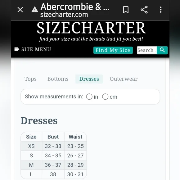 Abercrombie & Fitch Blue Floral Dress - Picture 16 of 16